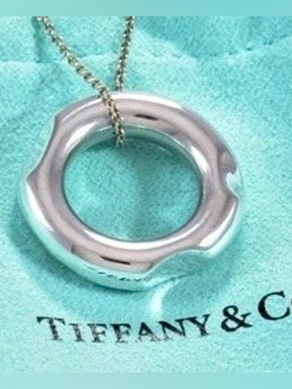 Tiffany & Co RARE 💯%Auth Frank Gehry Circle Tube Torque Pendant w/Pouch ✨EUC✨